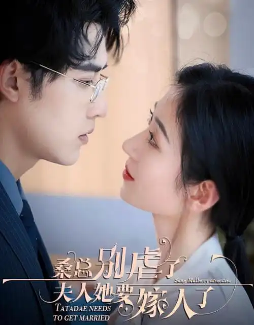 白露为霜 年代情感电视剧全集免费观看